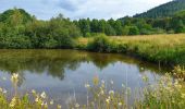 Tour Wandern Vresse-sur-Semois - Balade à Chairière - Vresse sur Semois - Photo 7