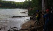 Trail Walking La Trinité - boucle pointe rouge - anse spourtoune - Photo 17