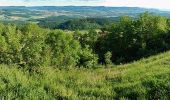 Tocht Te voet Schwäbisch Gmünd - rotes Kreuz Wäschenbeuren-Rechberg-Kaltes Feld SAV - Photo 2