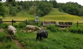 Randonnée Marche Valkenburg aan de Geul - Valkenburg - 668  - Photo 9