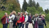 Trail Walking Furtwangen im Schwarzwald - La source du Danube - Photo 4