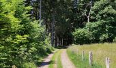 Randonnée Marche Stavelot - Promenade du point de vue de Ster  - Photo 6