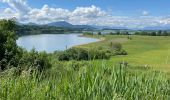 Trail Walking Seekirchen am Wallersee - Le tour du Wallersee - Photo 11