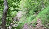 Trail Walking Cléry - Chalet balme chemin col fougères  - Photo 8