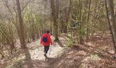 Trail Walking Couvin - Tamalous de la Botte 2024.03.28 - Photo 1