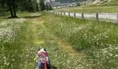 Trail Walking Ceillac - La cascade - Ceillac A/R - Photo 18