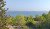 Trail Walking Leucate - mon sentier des pêcheurs via chateau - Photo 8