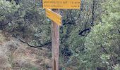 Excursión Senderismo Conqueyrac - Les jumelles de Monoblet  - Photo 10