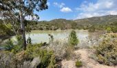 Trail Walking Fréjus - Depuis la Louve en boucle - Photo 13