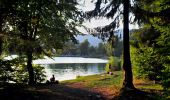 Tour Zu Fuß Mittelstadt - Lacul Bodi – intersecție traseul BA - Photo 4