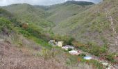 Tocht Stappen Bellefontaine - Morne  Potain - Mairie Bellefontaine - Photo 1