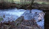 Percorso Mountainbike Rambervillers - sortie vtt du 17112018 rambervillers  - Photo 5