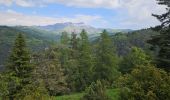 Tocht Stappen Beuil - Les Cluots par les Gorges du Cians supérieur - Photo 11