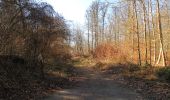 Randonnée Marche Pierrefonds - en forêt de Compiègne_24_Tournantes sur le Voliard et sur la Fortelle_chaussée Brunehaut - Photo 16