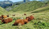 Tour Wandern Mont-Dore - puy de Sancy - Photo 7