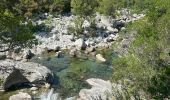 Trail Walking Venaco - Venez-vous - Photo 6