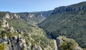 Trail Walking Le Rozier - Corniches de Mejean - Photo 5