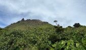 Randonnée  Saint-Claude - Soufrière  - Photo 3