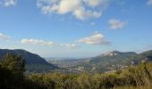 Randonnée Marche La Valette-du-Var - Boucle:  Tourris - Grottes de sables - Carrière aux fourmis - Ruines des olivières - Tourris - Photo 16