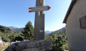 Tour Zu Fuß Morterone - Sentiero dei Grandi Alberi - anello principale - Photo 9