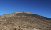 Percorso A piedi La Orotava - S-9 Sendero Teide-Pico Viejo–Mirador de las Narices del Teide - Photo 5