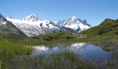 Excursión Senderismo Chamonix-Mont-Blanc - Aiguillette des Posettes - Photo 6