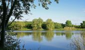 Tocht Te voet Vaihingen an der Enz - VE6 Bartenberg-Rundweg - Photo 10