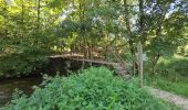 Trail Walking Houffalize - Balade à Houffalize - Photo 11