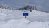 Tocht Sneeuwschoenen La Pesse - La Pesse Embossieux /Le Lac de l'Embouteilleux  - Photo 6