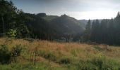 Randonnée Marche Malmedy - Un air de crête  - Photo 18