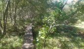 Tour Wandern Weismes - mont rigi . pont de beleu . botrange . baraque michel . mont rigi - Photo 14