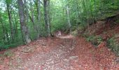 Excursión Senderismo Mont Lozère et Goulet - GR_70_AG_07_Mont-Lozere-Goulet_Cubieres_20140921 - Photo 2