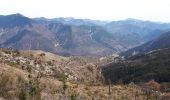 Tocht Stappen Bairols - Pointe des 4 cantons de Bairols retour col de l'espella - Photo 6