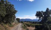 Tour Wandern Le Boulou - rando de la bataille du Boulou - Photo 2