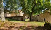 Randonnée Marche La Chaise-Dieu - Folgoux - Photo 11