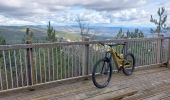 Percorso Mountainbike Bédoin - Randuro sous les sapins blancs - Photo 1