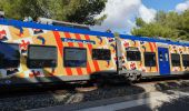 Percorso Marcia Martigues - La Couronne Sausset les Pins - Photo 1