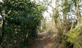 Trail Walking Rontignon - RONTIGNON le chemin des crêtes  M2 fait  2644181 - Photo 7