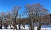 Percorso Racchette da neve Curières - Mon plus bel Aubrac  - Photo 11