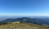 Trail  Murbach - Huit du Grand Ballon - Photo 1