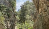 Tour Wandern Cheval-Blanc - Les gorges du Regalon  - Photo 3