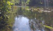 Tour Wandern Cour-Saint-Maurice - battenans - Photo 13