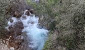 Randonnée Marche Mons - Mons  Cascade de la Siagnole  La Roche Taillée  Mégalithe de Riens - Photo 4