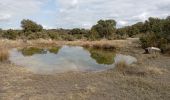 Tour Wandern Lauret - Lauret le 27 02 2022 - Photo 6