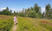 Randonnée Marche Belmont - Champ du feu - Col de la Charbonnière - Belmont  - Photo 11