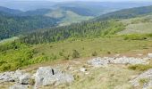 Trail On foot Mayres - Tour des Poignets 18km - Photo 1