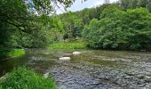 Trail Walking Florenville - Le Point de vue la Bohanan - Chassepierre - Photo 9