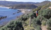 Tour Wandern La Croix-Valmer - Cap Lardier et Cap Taillat -  Boucle - Photo 5