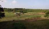 Randonnée Marche Le Moule - Anse Petite Savane - Anse à l'Eau - Photo 12