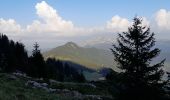 Trail Walking La Clusaz - ARAVIS: LES CONFINS _ TROU DE LA MOUCHE - Photo 18